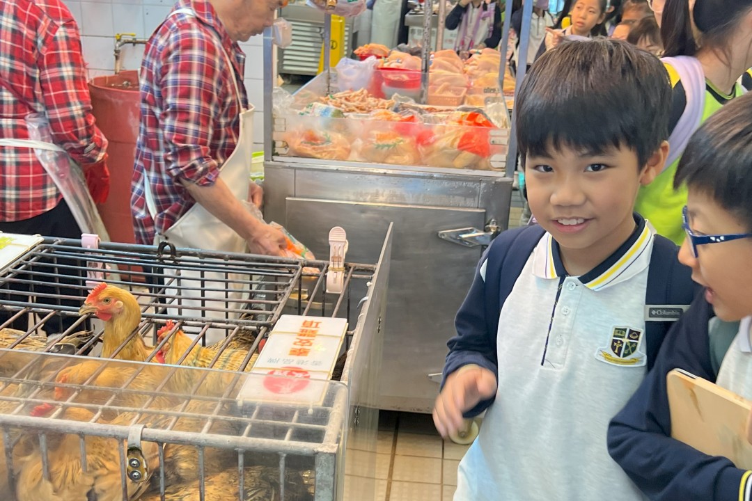 情尋社區-躍動龍城