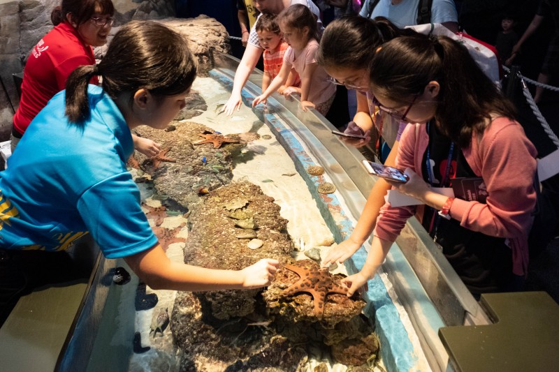 2018新加坡文化及英語學習交流團