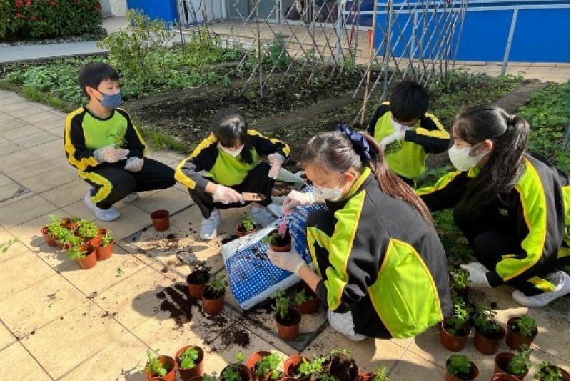 環保為公益慈善花卉義賣