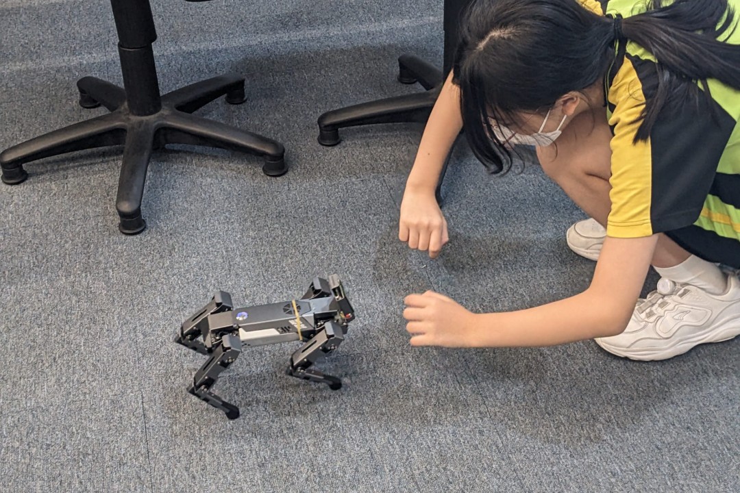 人工智能課程-人與機械動物的互動（暑期活動）