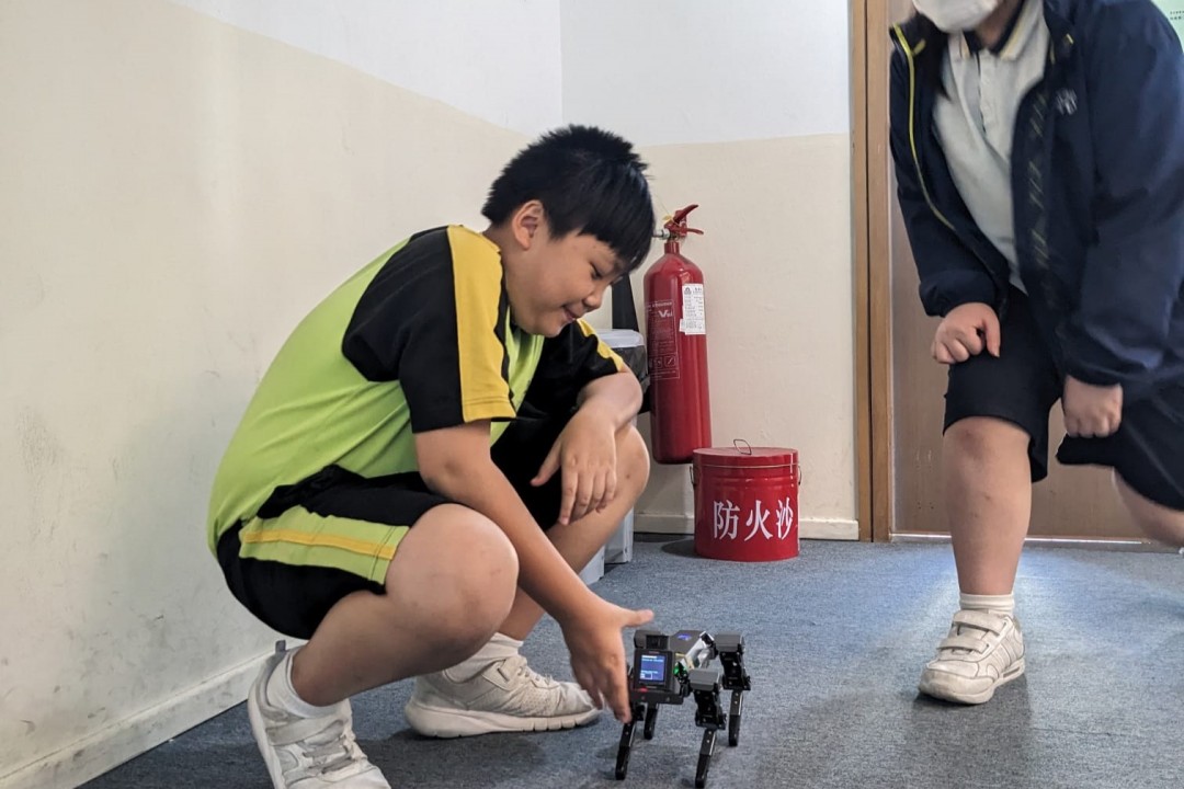 人工智能課程-人與機械動物的互動（暑期活動）