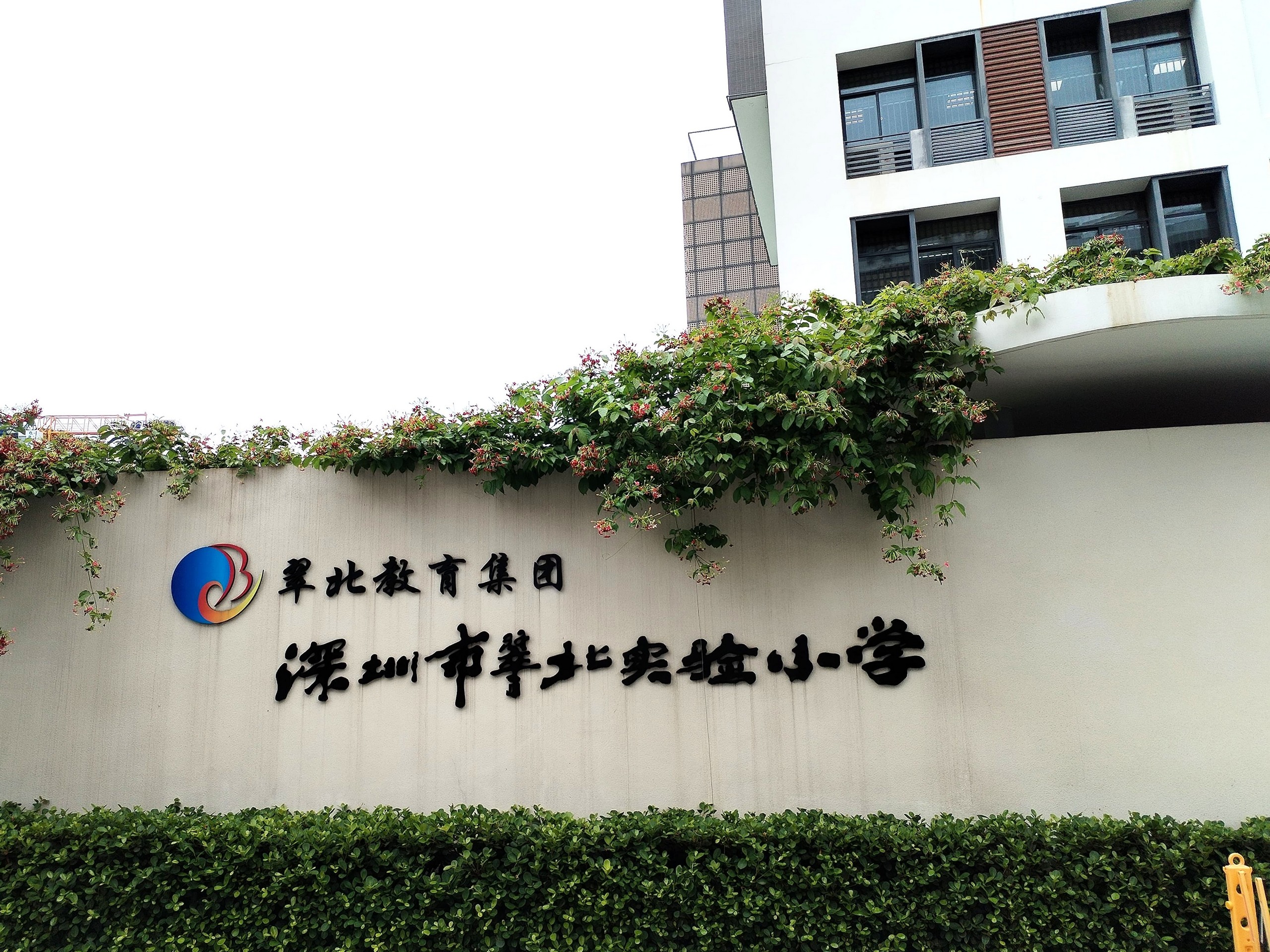 2025年5月9日 姊妹學校計劃─深圳市翠北實驗小學交流團
